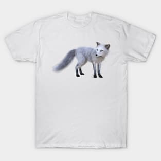 Arctic Fox T-Shirt